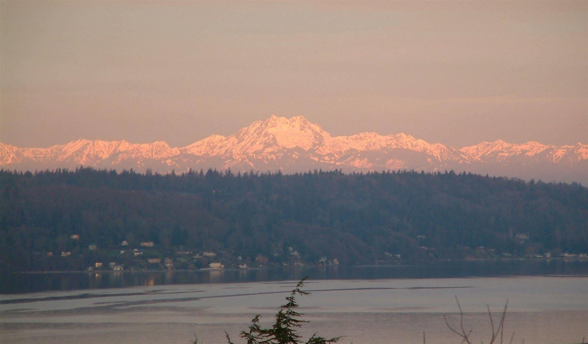 Three Tree Point Bed And Breakfast Burien Dış mekan fotoğraf